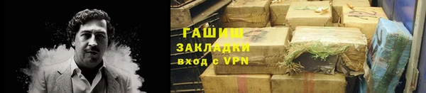 гидра Гусиноозёрск