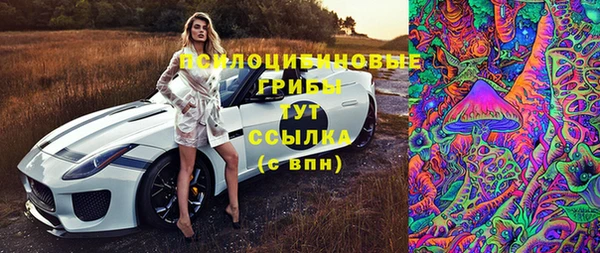 spice Горно-Алтайск