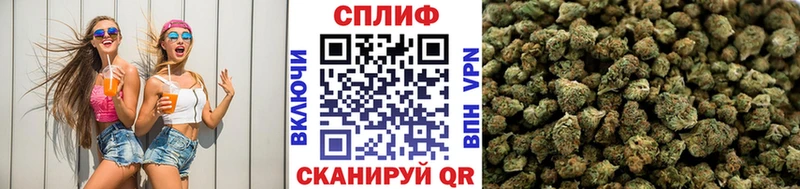 Каннабис Amnesia Данилов